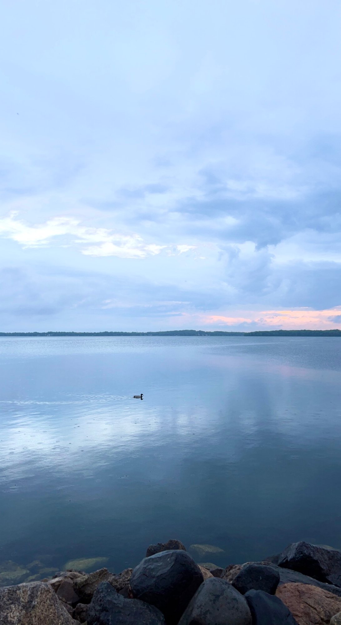 2674f512-a4d3-4bb4-a085-dcbe3ea04ce4-artwork_upload-Lake-Monona
