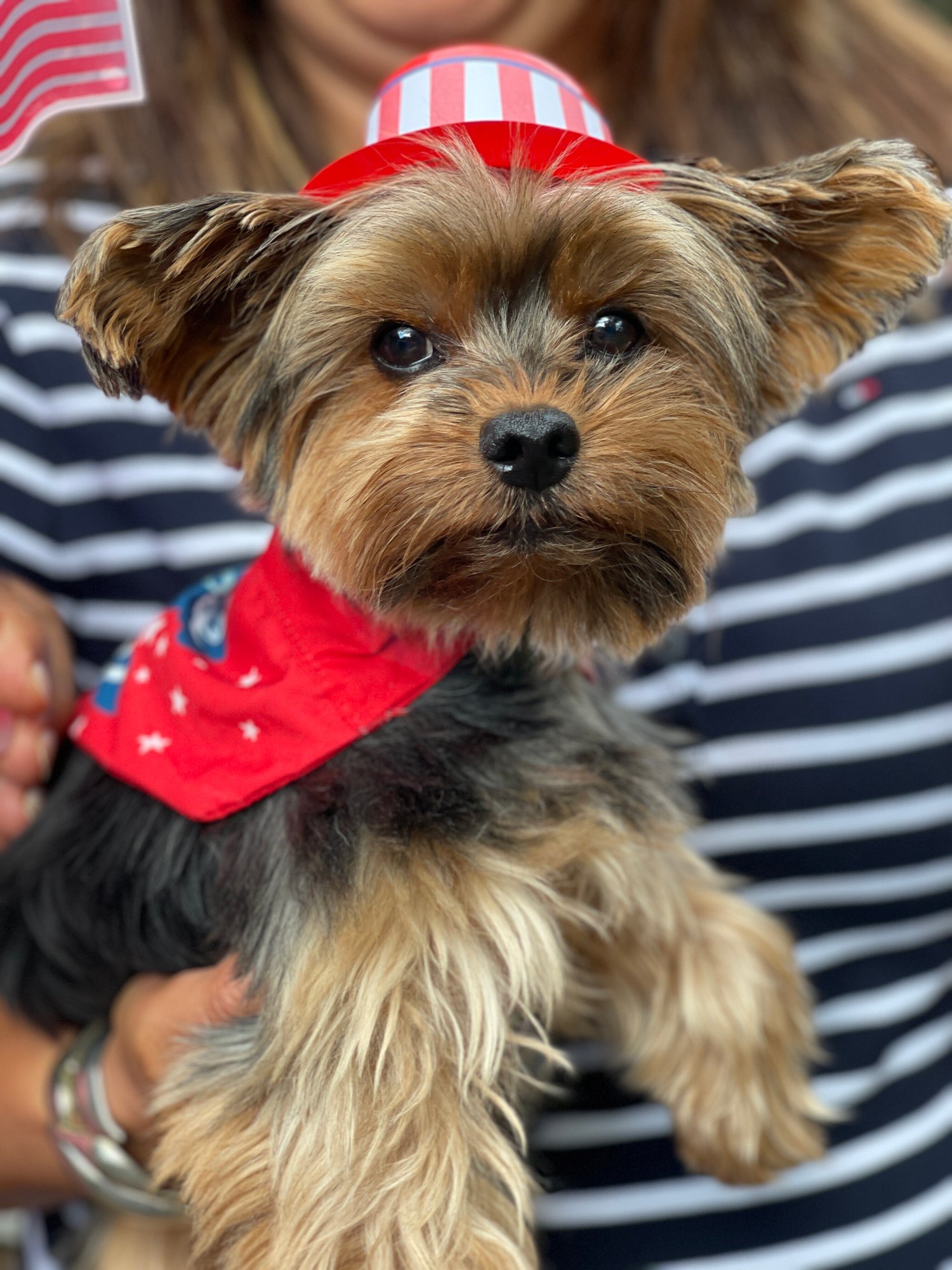 junior-4th-of-july