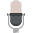 Speaker Source Icon
