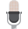 Speaker Source Icon