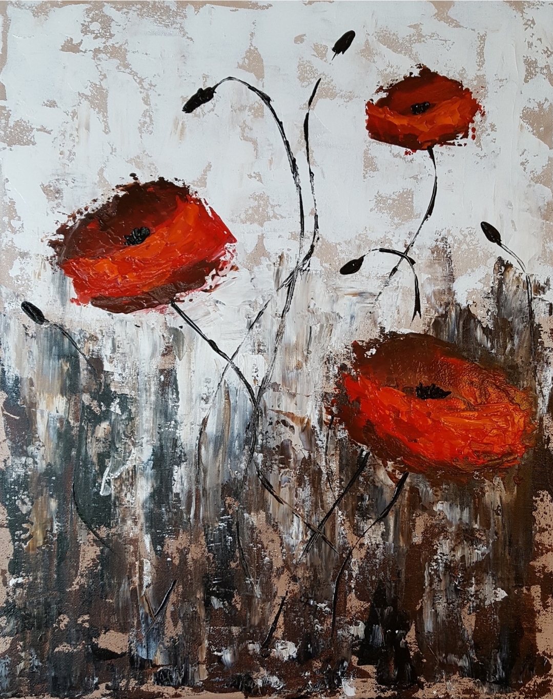 Proud-Poppies