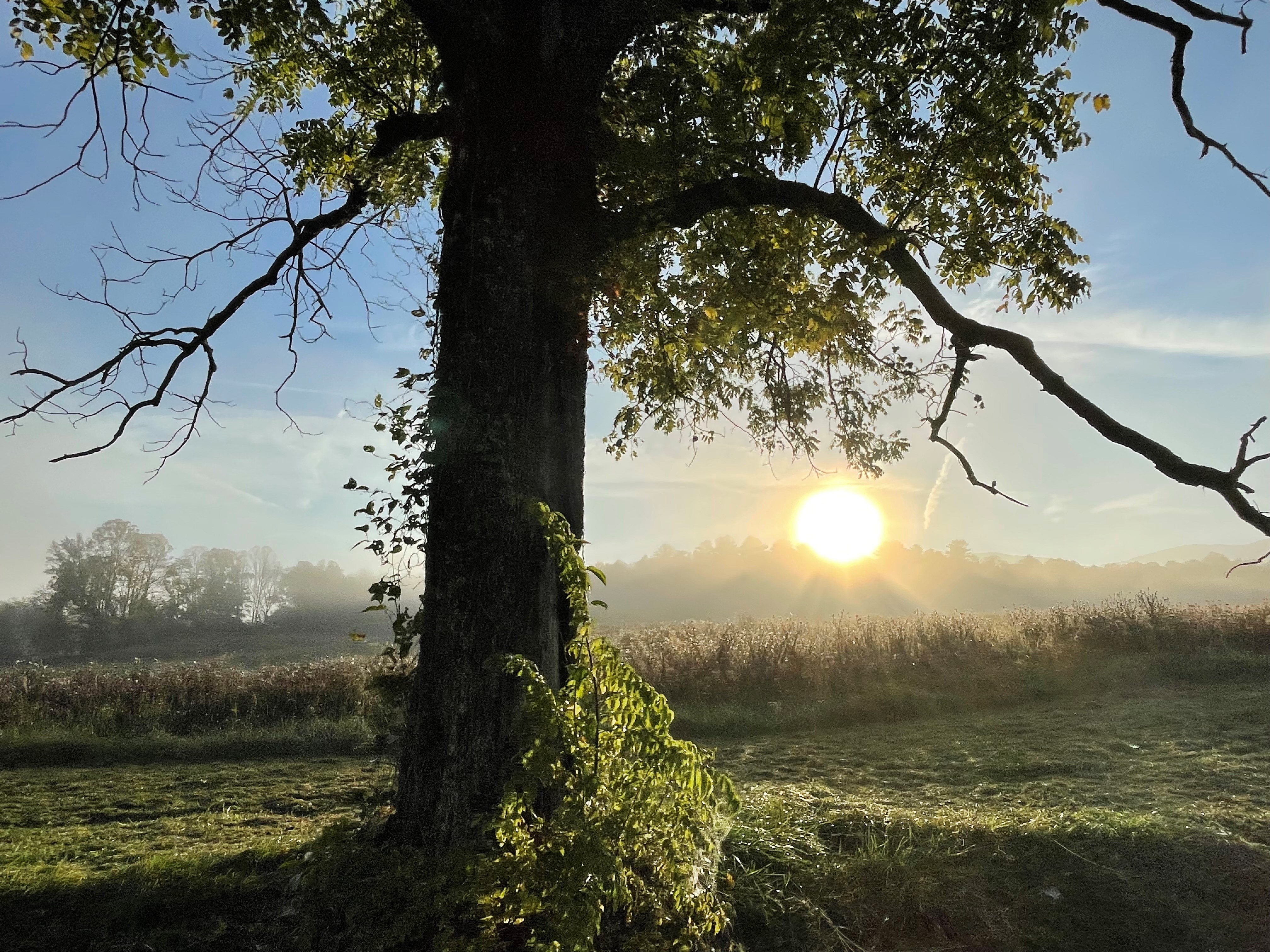 Sunrise-at-Cades-Cove
