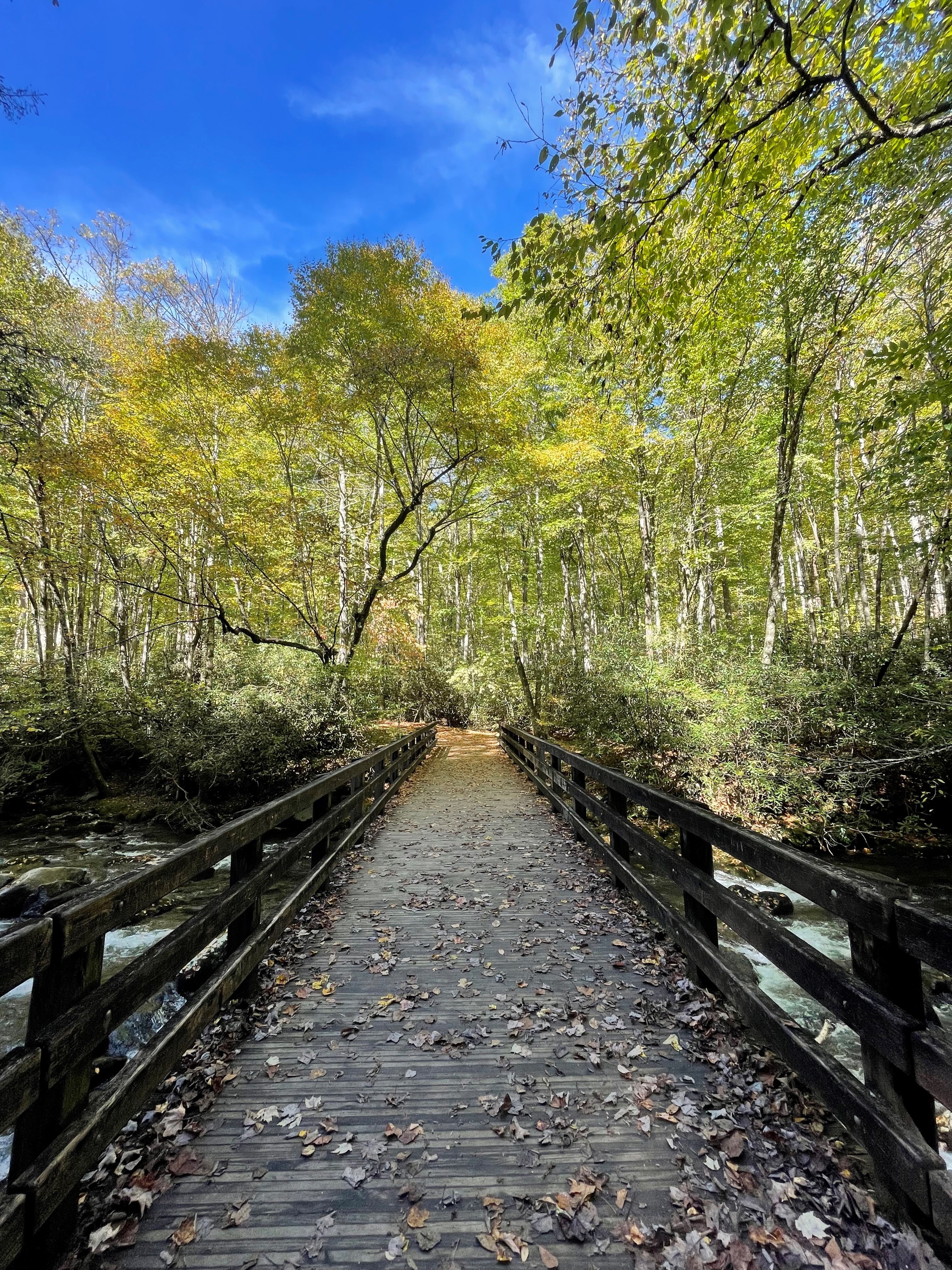 Trail-to-the-Falls