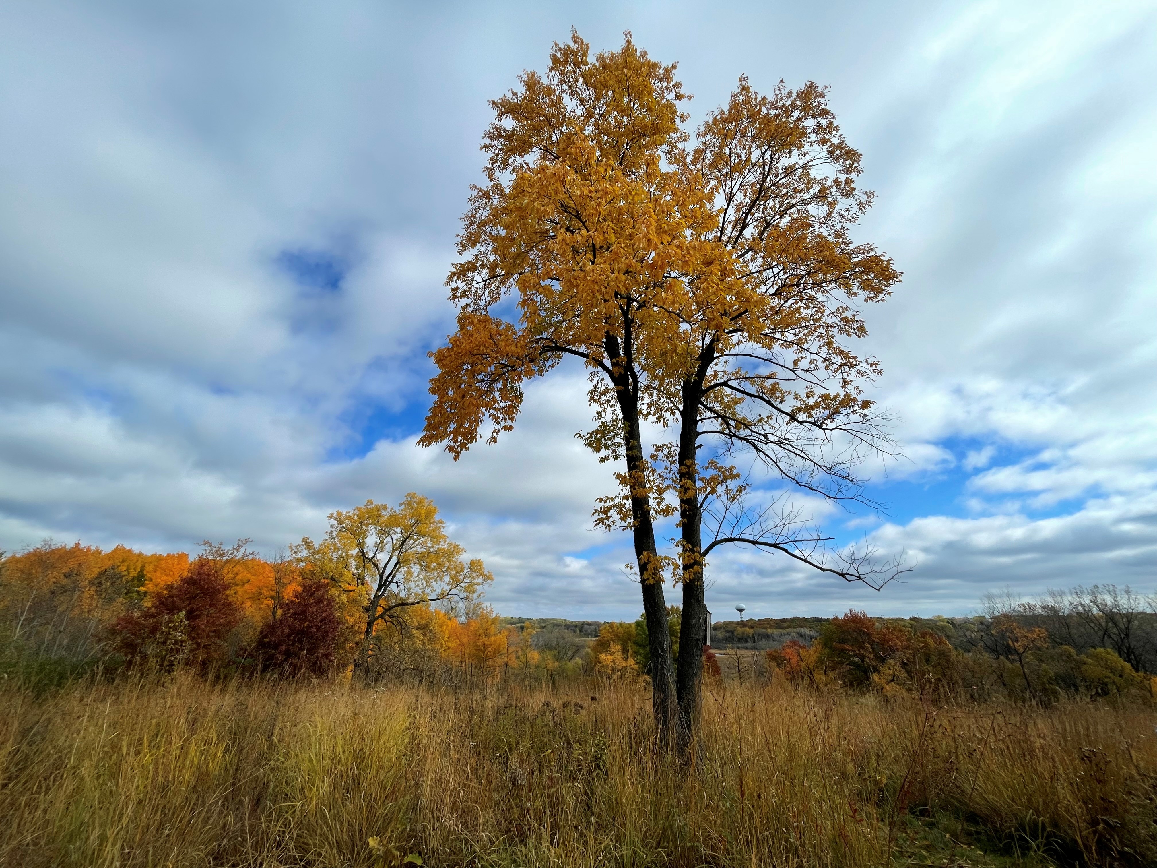 one-stands-alone