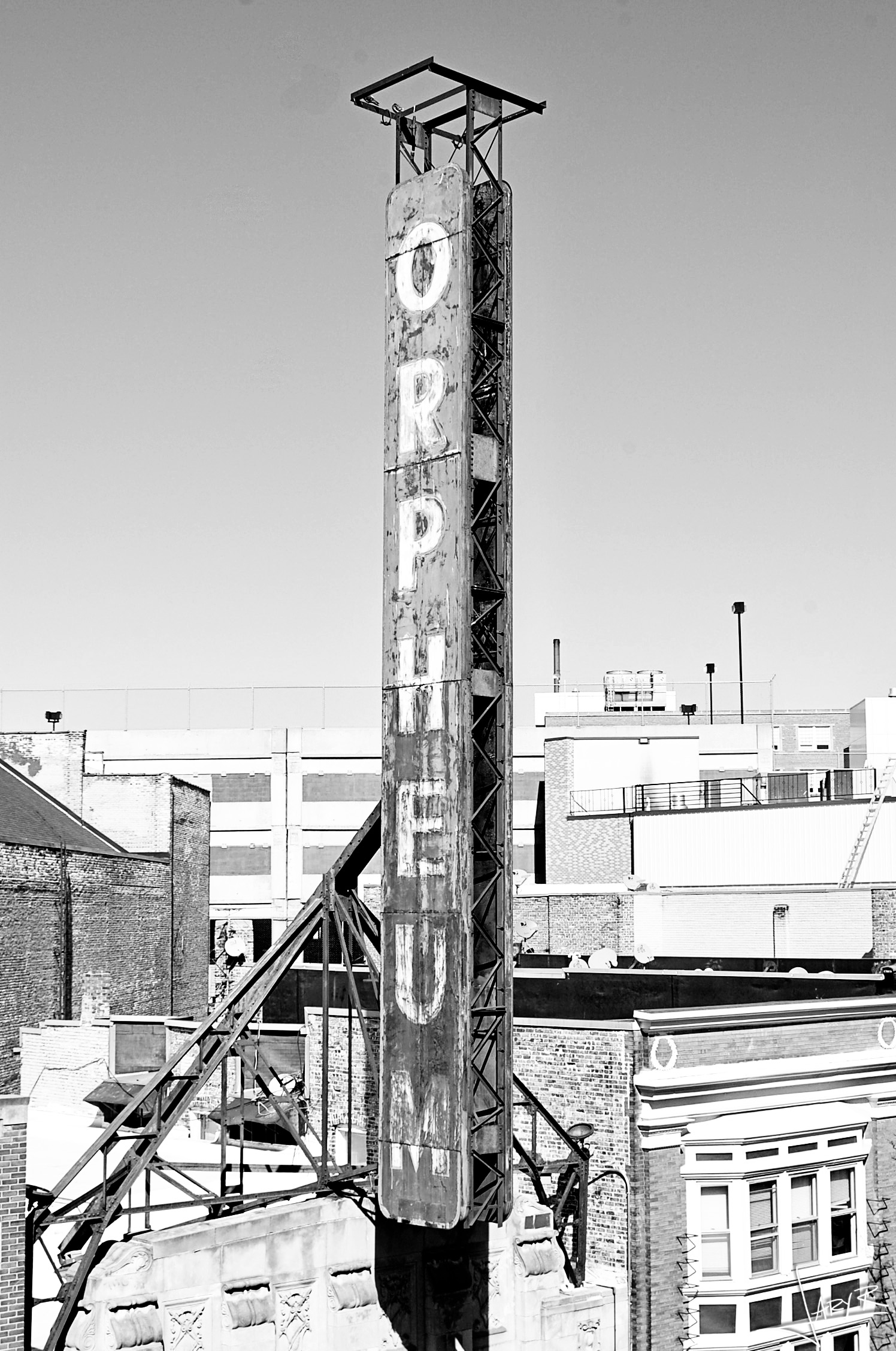 the-orpheum