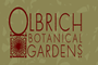 olbrich